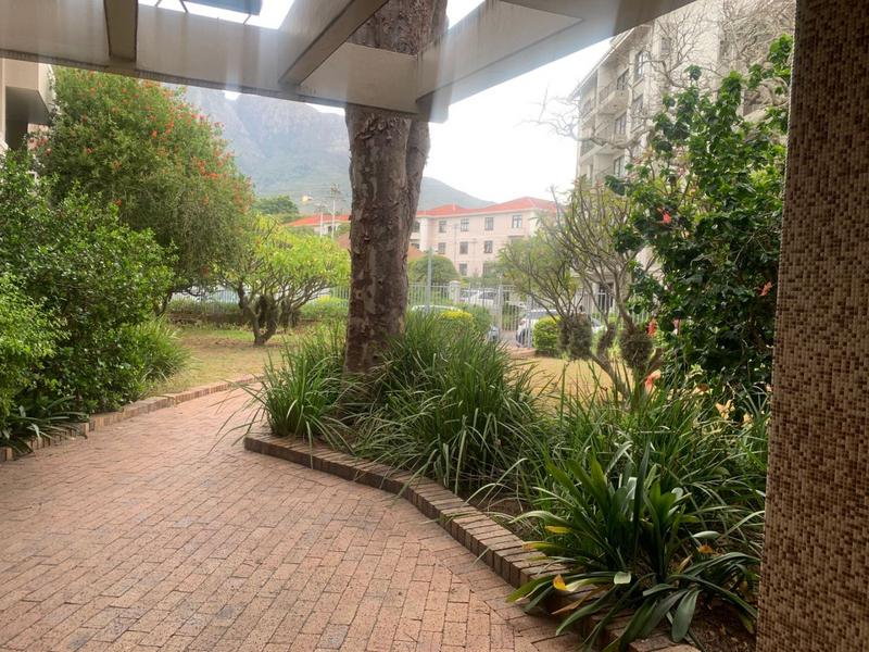 To Let 3 Bedroom Property for Rent in Rondebosch Western Cape